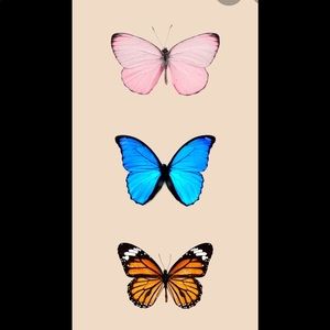 Meet your Posher, Lucy